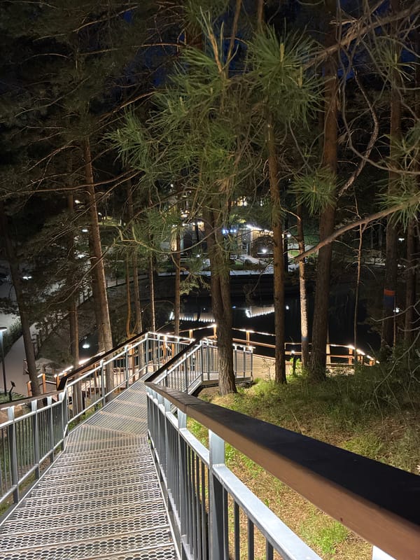 Nighttime forest walkway and structures observed by single witness