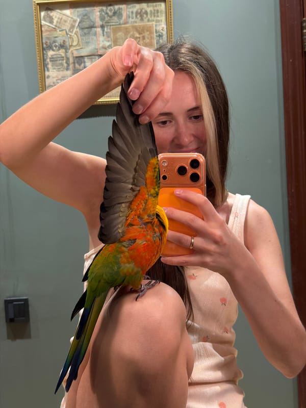 Woman documents afternoon with pet parrot in Khimki apartment