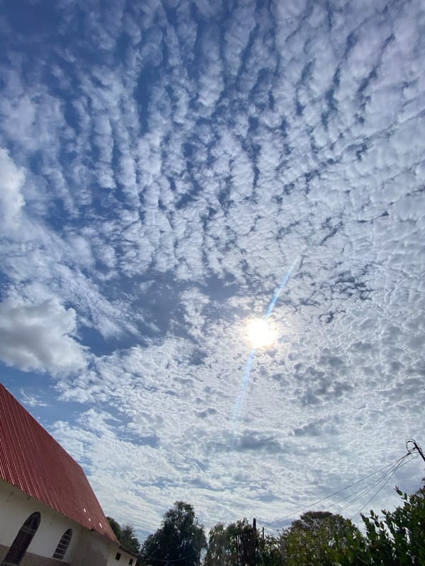 Artistic sun photography session captures creative sky shots