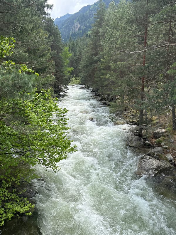 Photographer documents turbulent Beli Iskar River through Bulgarian mountain forests