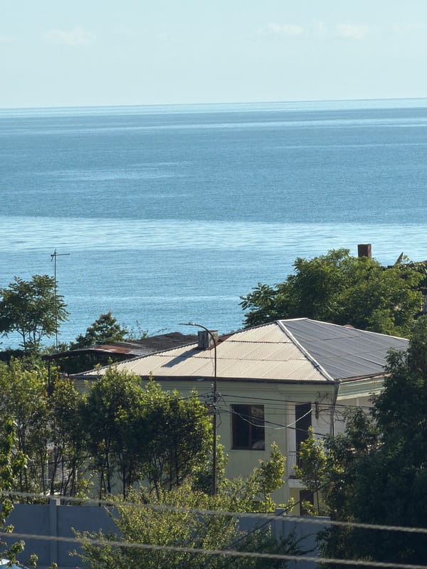 Sunny afternoon documented at coastal residential balcony garden