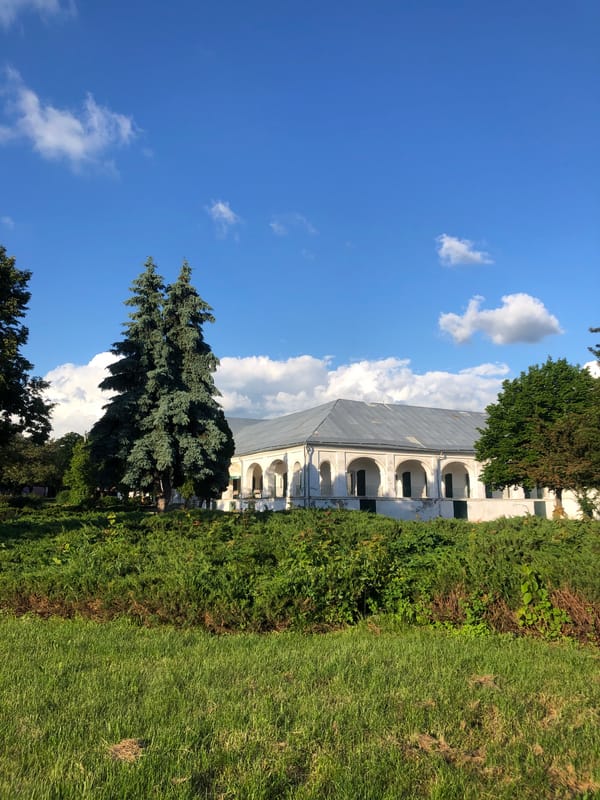 Witnesses capture afternoon moments: food, architecture, golden hour scenes