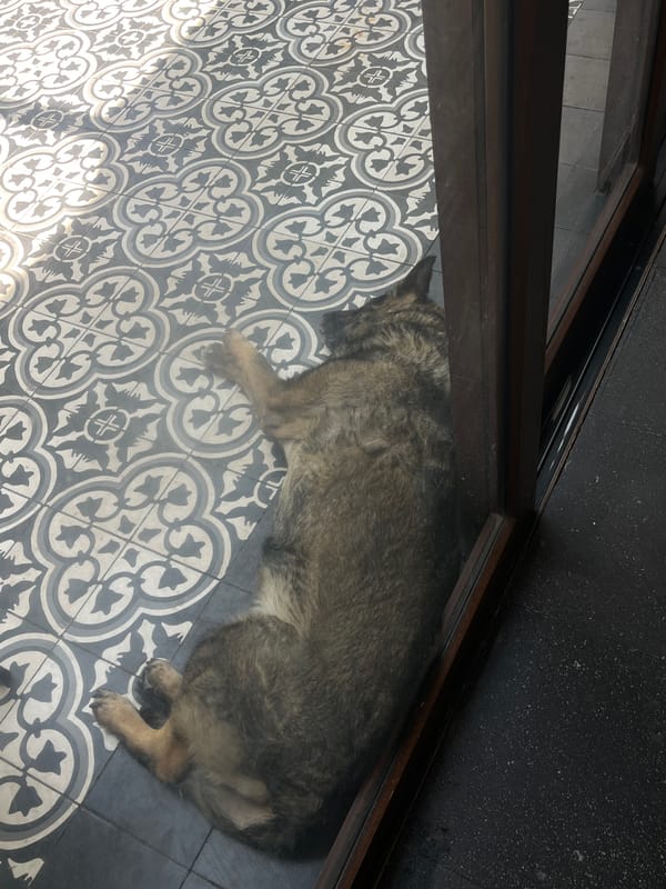 Quiet indoor moments documented in Mexican home