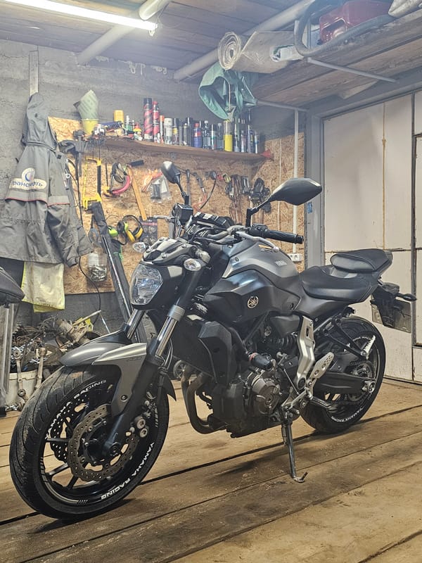 Quiet moments: motorcycle in garage, hand petting sleeping cat