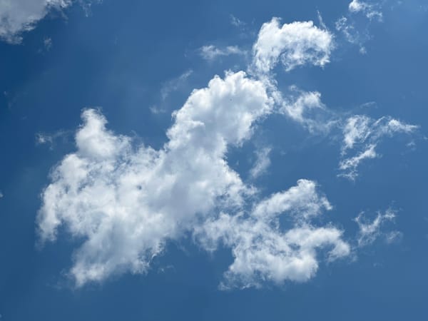 Orange tabby cat under a blue Burgas sky