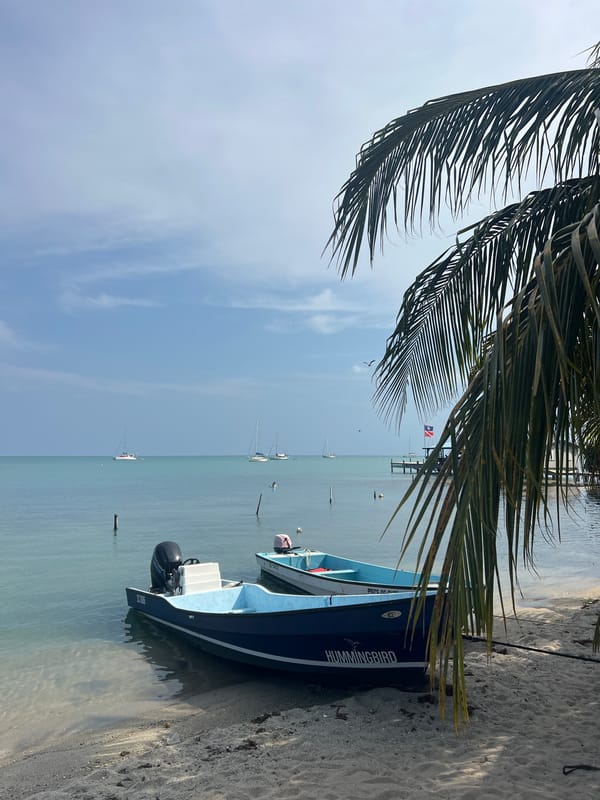 Fishing boats rest on Placencia shore in Belize