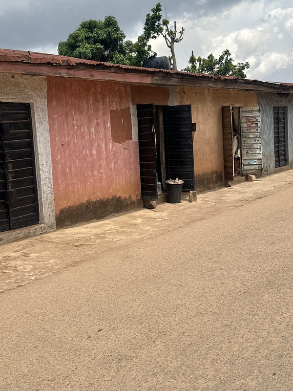 Street market activity documented in 8-minute African commercial district observation