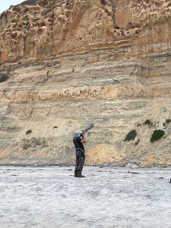 Night cliff rappelling draws photographers to San Diego beach