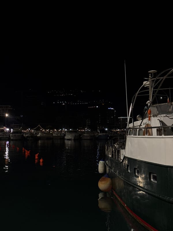 Docked boat with distinctive markings observed at urban waterfront