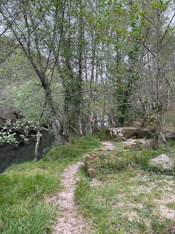 Spring waterway documented in Vila Real, Portugal