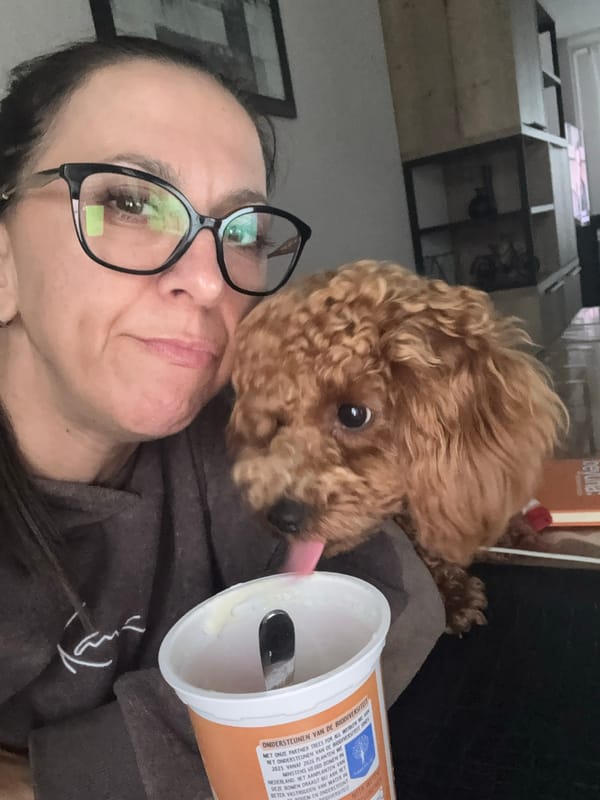 Cozy moments with a small brown dog at home in Marum