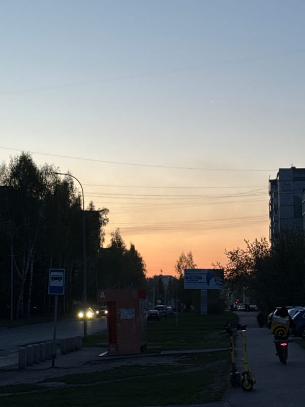 Urban dusk scene captured with evergreen details