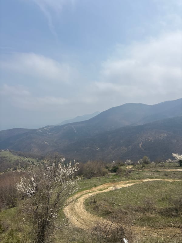 Spring blooms captured along mountain dirt road in Bulgaria