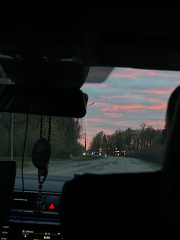 Evening drive captured along tree-lined road in Jelgava, Latvia
