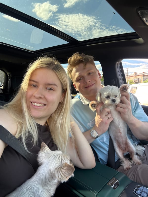 Volgograd afternoon: car rides, cash, and two small dogs