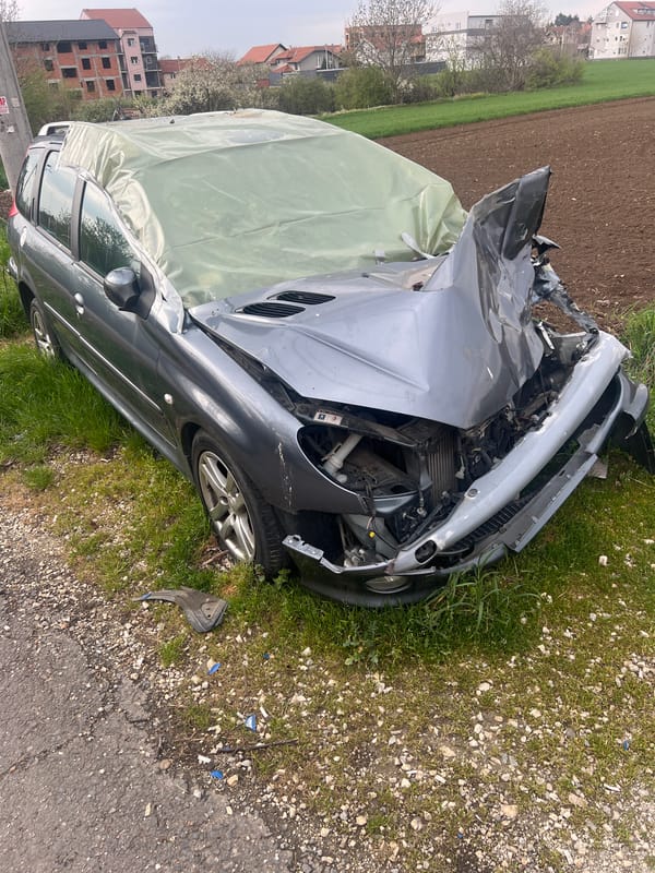 Dog walker witnesses vehicle accident aftermath in Belgrade