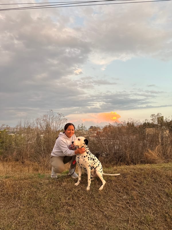 Routine life moments captured across Puebla neighborhoods early Thursday
