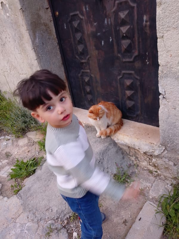 Child plays with cat in Syrian neighborhood streets