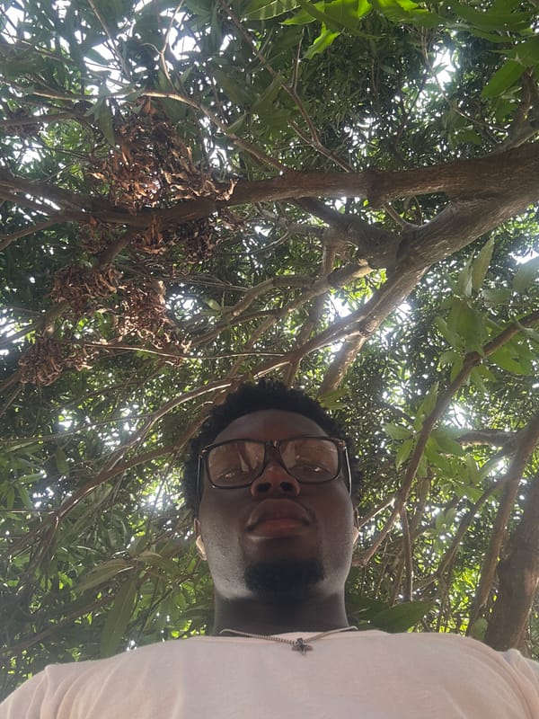 Pickup basketball and outdoor games at Amansee, Nigeria