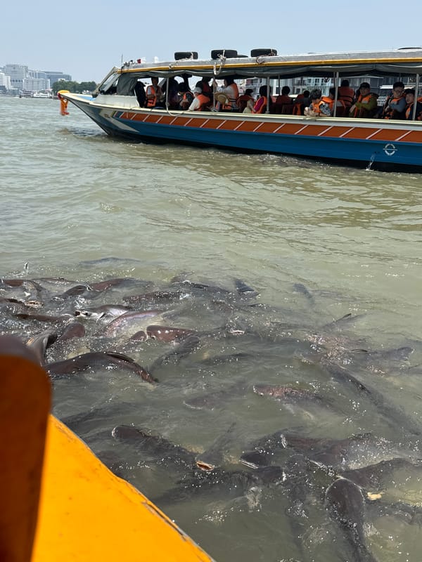 Early morning temple sightseeing boat tour captures Wat Arun views