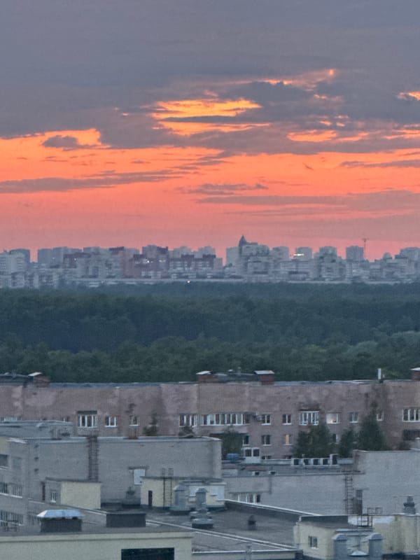 Woman documents evening at home with selfies, puppy, cityscape views
