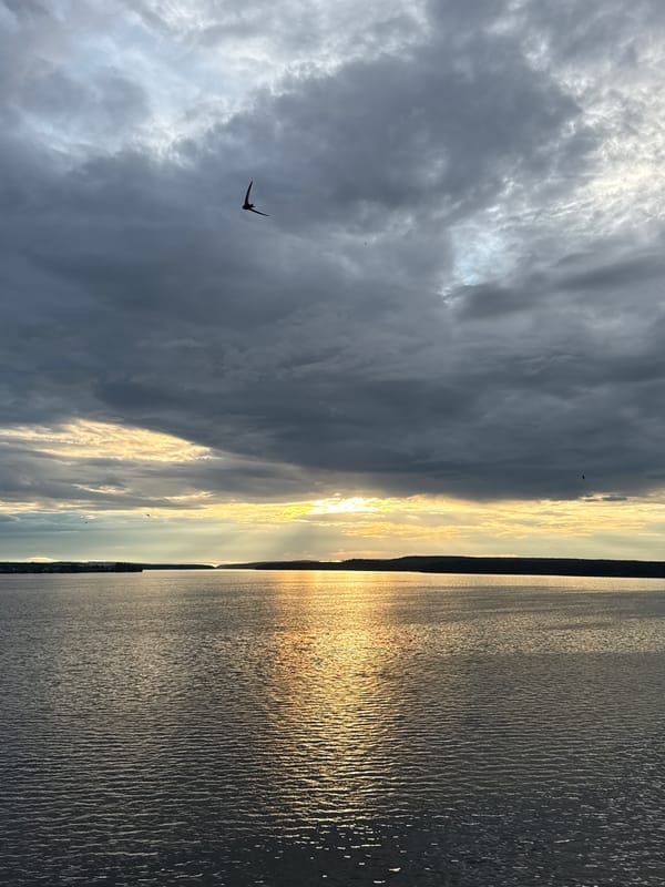 Dramatic sunset captured over Votkinsk Reservoir in Russia