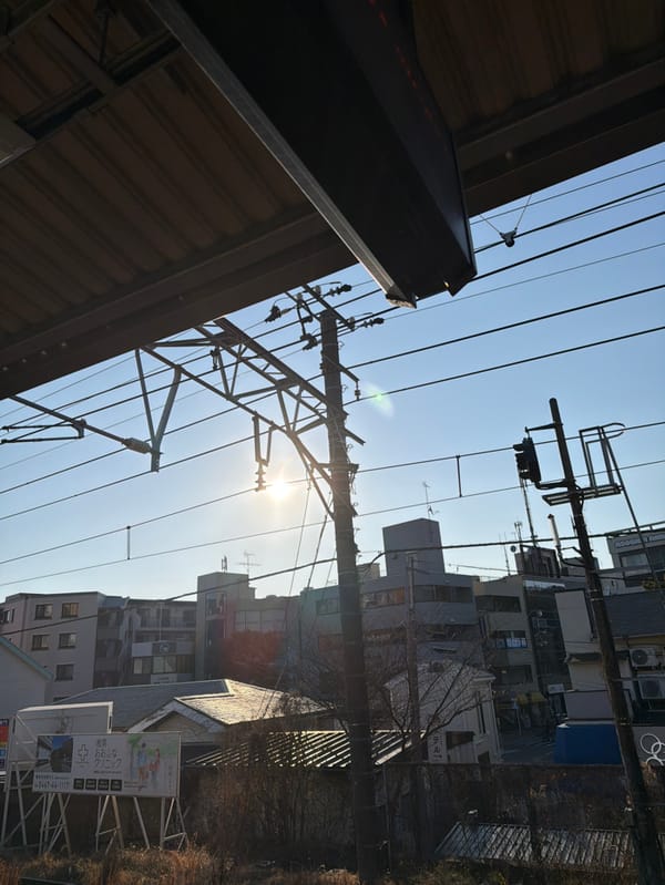 Morning infrastructure documentation in Kamakura shows power lines, poles