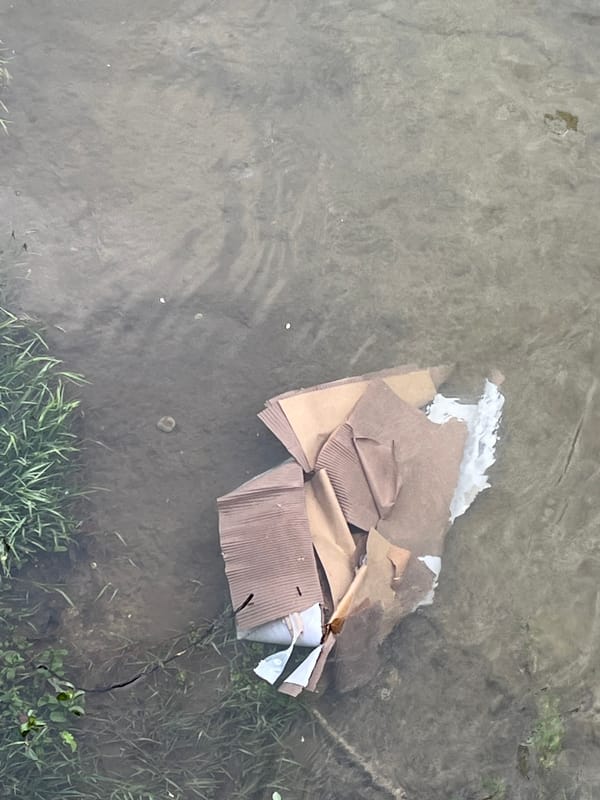 Zagreb scenes show vendor stall and waterway pollution