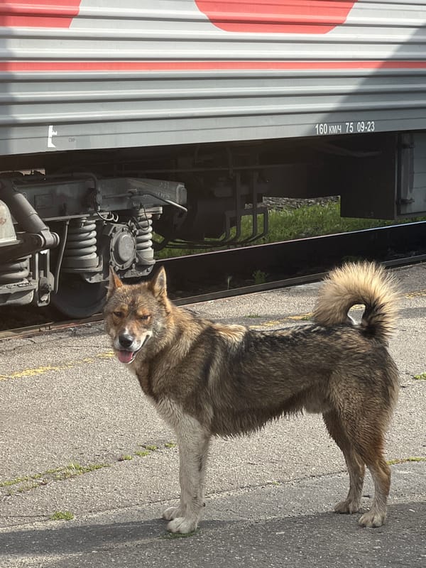 Brief stop at Kanash station, passengers and a dog on the platform