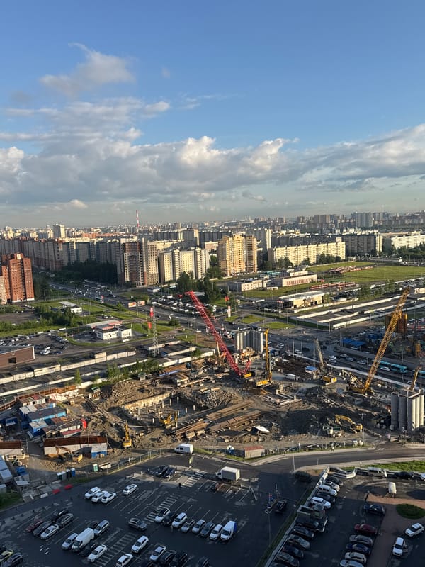 Construction, housing, and a tabby cat in Saint Petersburg