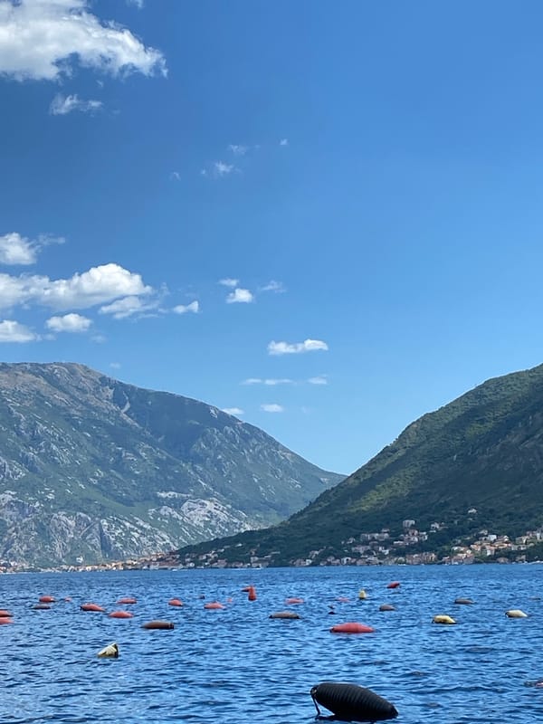 Buoy line on calm Montenegrin bay below a hillside settlement