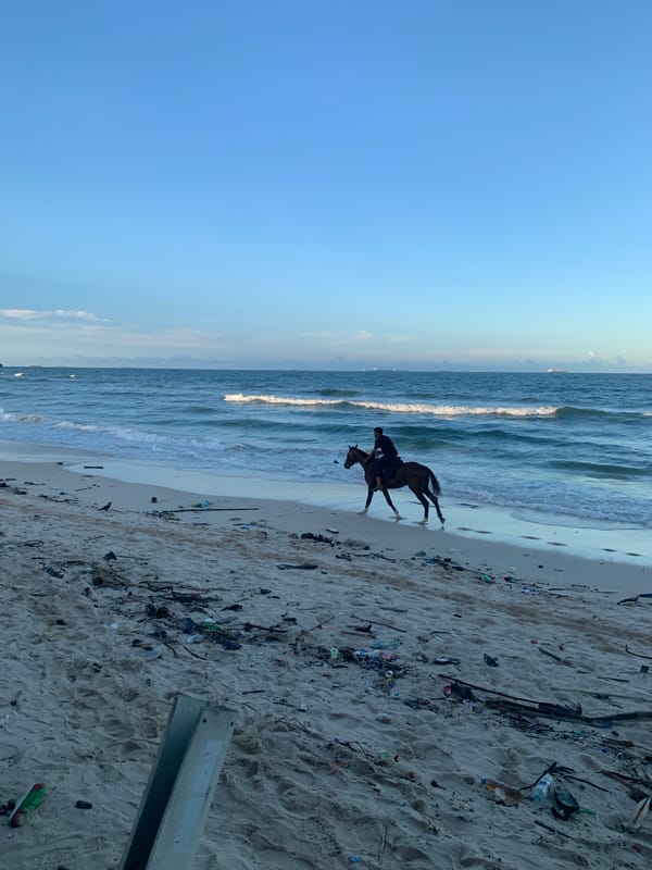 Peaceful beach afternoon documented by witnesses in Dar es-Salaam