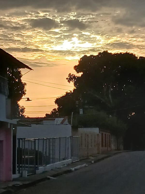 Bird sighting and sunset documented in Tinaco, Venezuela