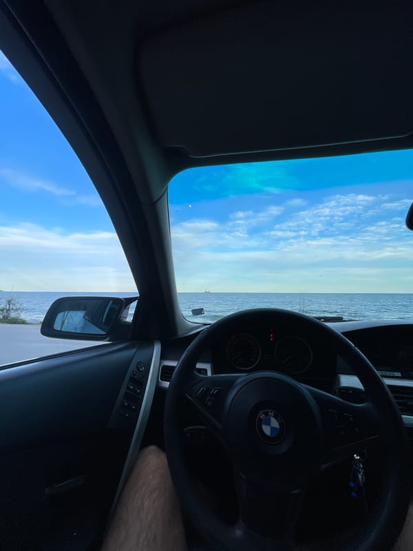 Driver documents seaside stop with cat sighting in Varna