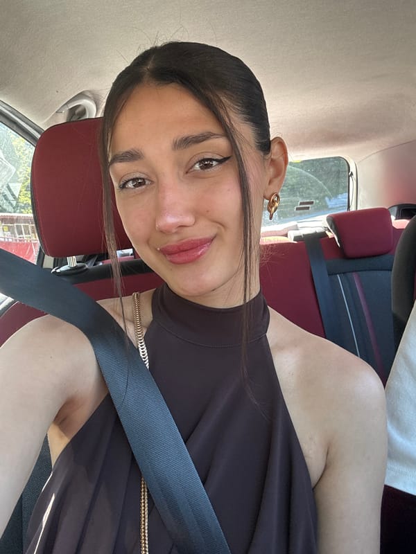 Person spotted in vehicle in Golubovići, Montenegro