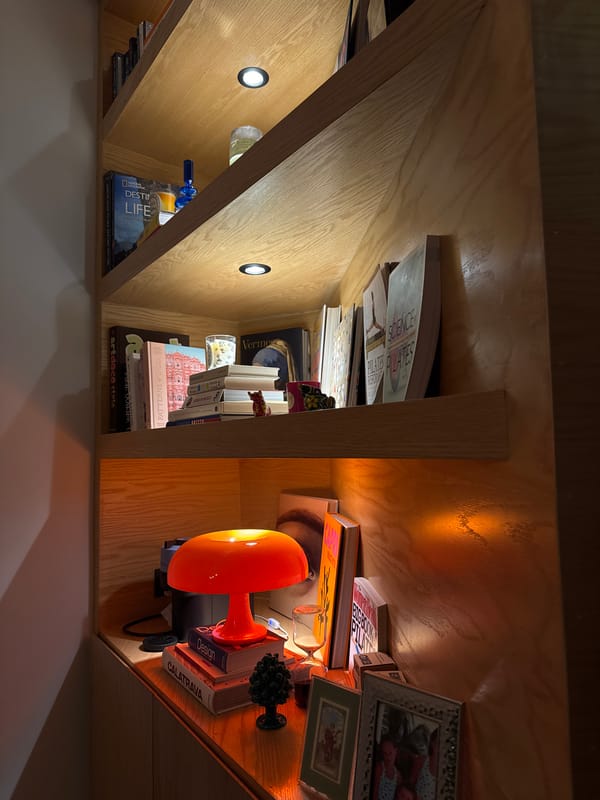 Late night stroll documented in Puebla garden area