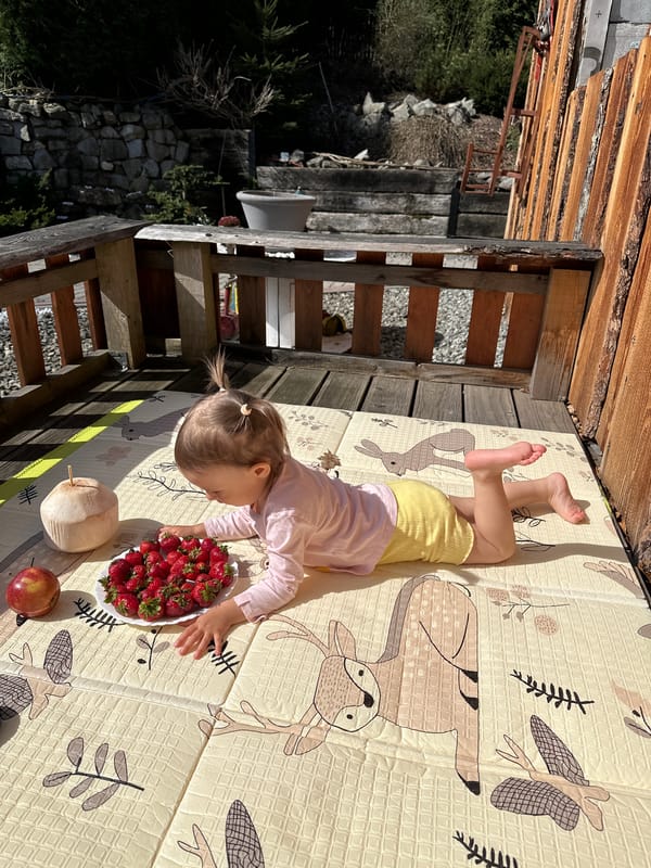 Child enjoys strawberries outdoors on sunny day in Wisła