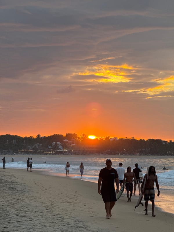Sunset surf session at Arugam Bay with a surprise pufferfish