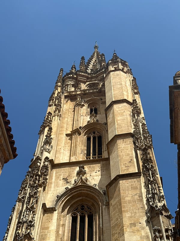 Up-close with Oviedo Cathedral's Gothic stonework on a sunny morning
