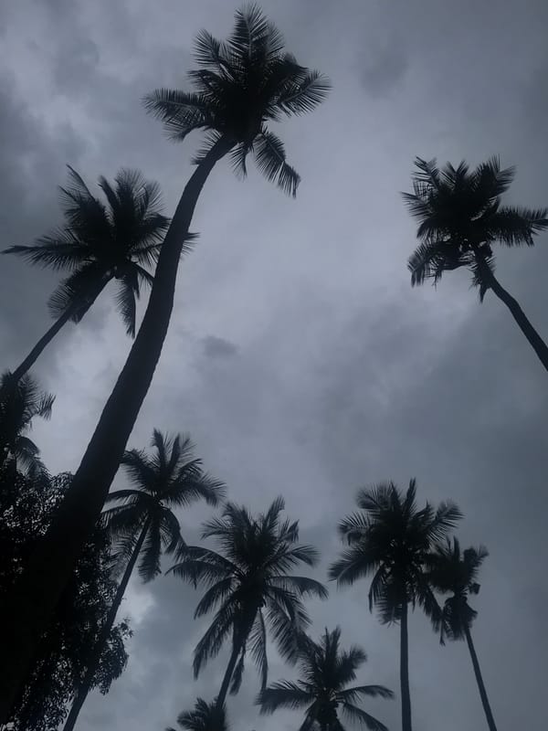 Rural Thailand village landscape documented during overcast morning