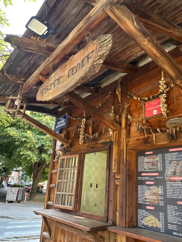 Morning walk documented across Belgrade's Zvezdara and Vracar districts