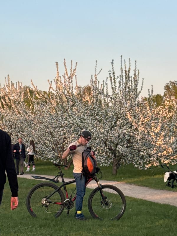Spring park activity observed in Krasnoyarsk amid blooming trees