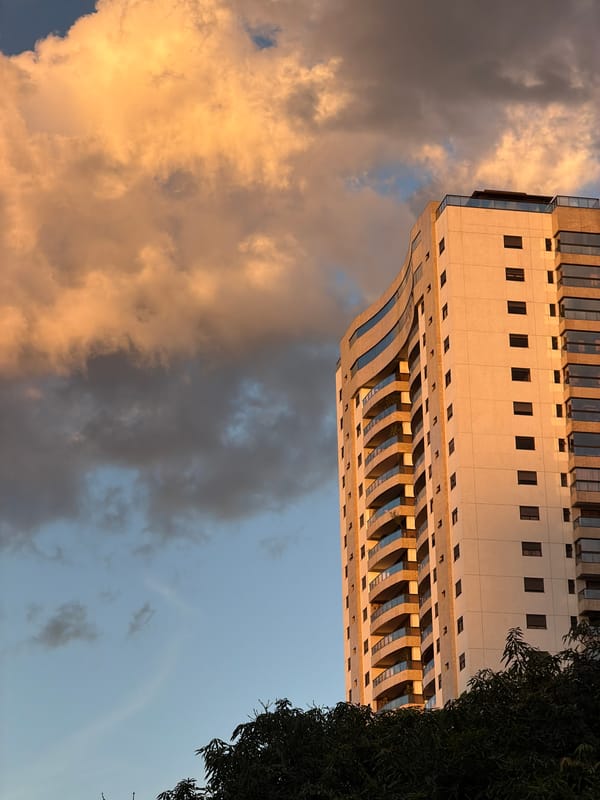 Evening observations capture urban architecture and wildlife in Águas Claras