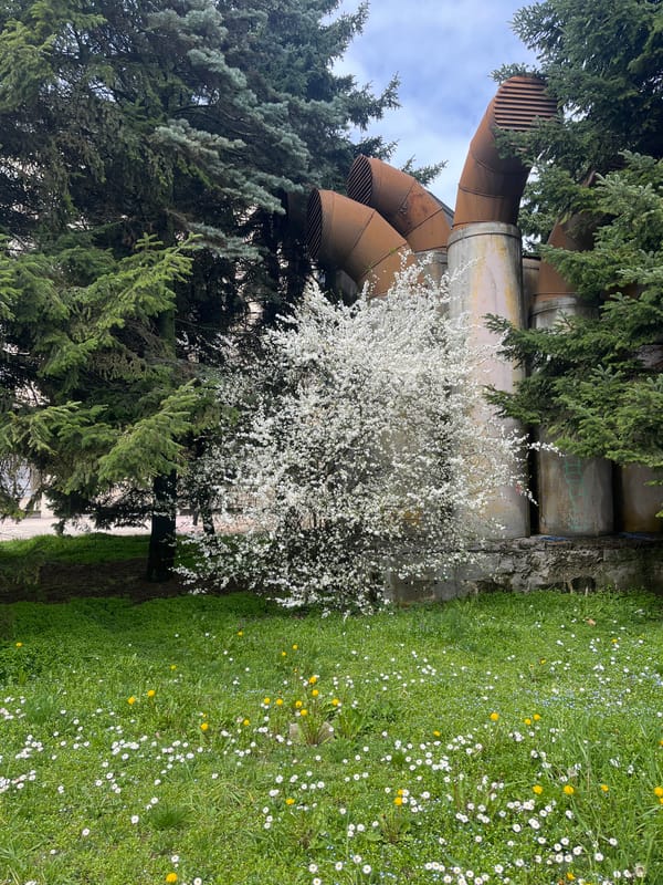 Industrial pipes documented in Gabrovo, Bulgaria