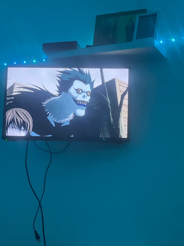 Television displays animated monster content in Montenegro home
