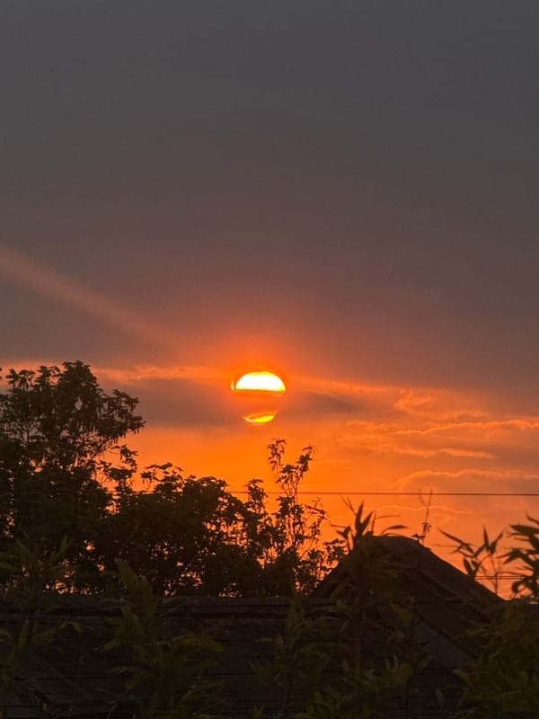 Dramatic sunset with light-shadow contrast observed in London