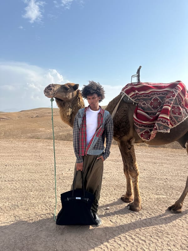 Tourists enjoy camel tour experience in Sidi Badhaj Morocco