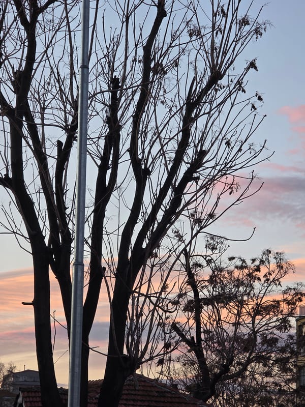 Man takes sunrise selfies in Plovdiv, Bulgaria