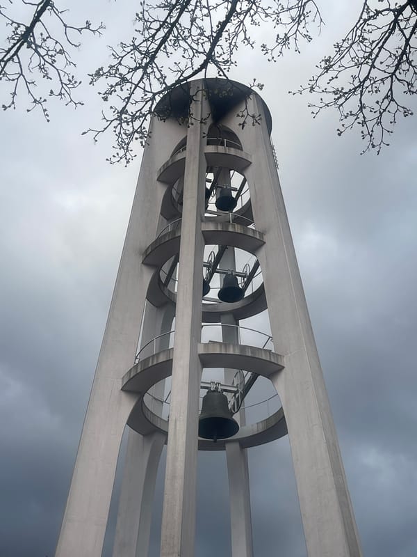 Afternoon meal documentation in Saarbrücken features traditional German food