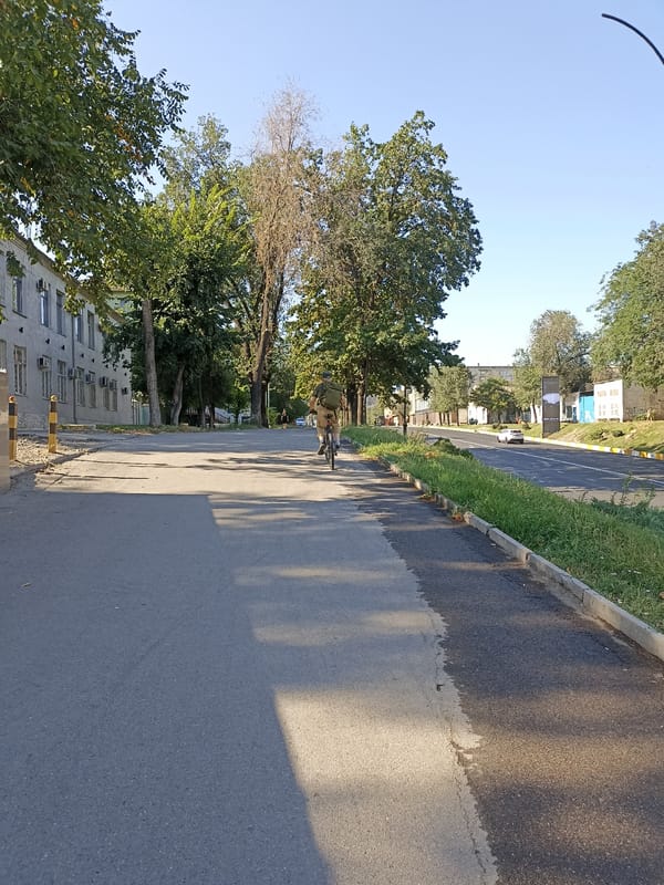 Everyday street life along a Bishkek pathway